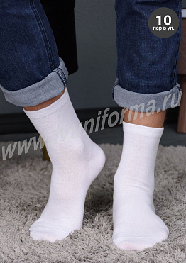 Носки мужские (10 пар) арт. ТР-18-14-ТР